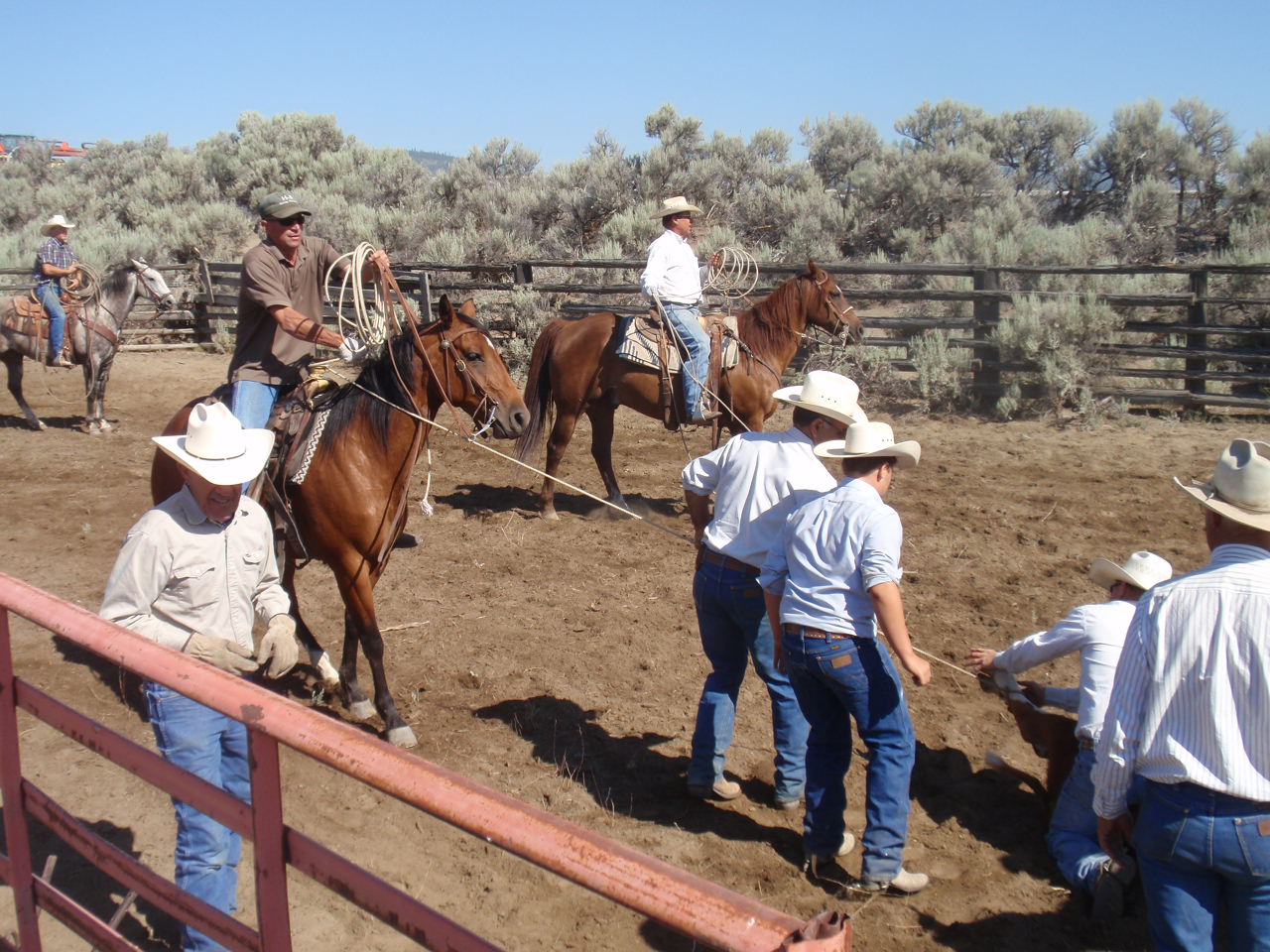 Flowing Wells Ranch - Cattle/Recreation - 868+/- Acres (Lakeview, OR) - Image 40
