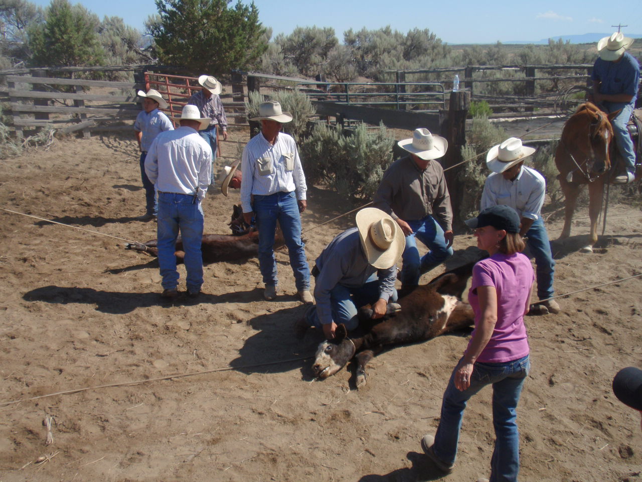 Flowing Wells Ranch - Cattle/Recreation - 868+/- Acres (Lakeview, OR) - Image 41