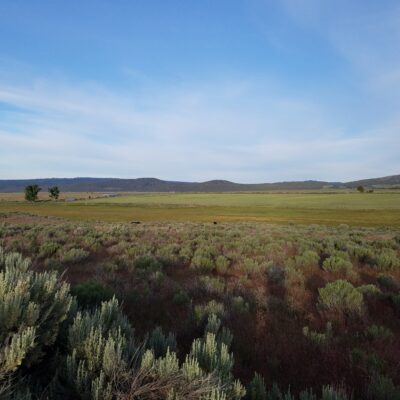 Flowing Wells Ranch - Cattle/Recreation - 868+/- Acres (Lakeview, OR)
