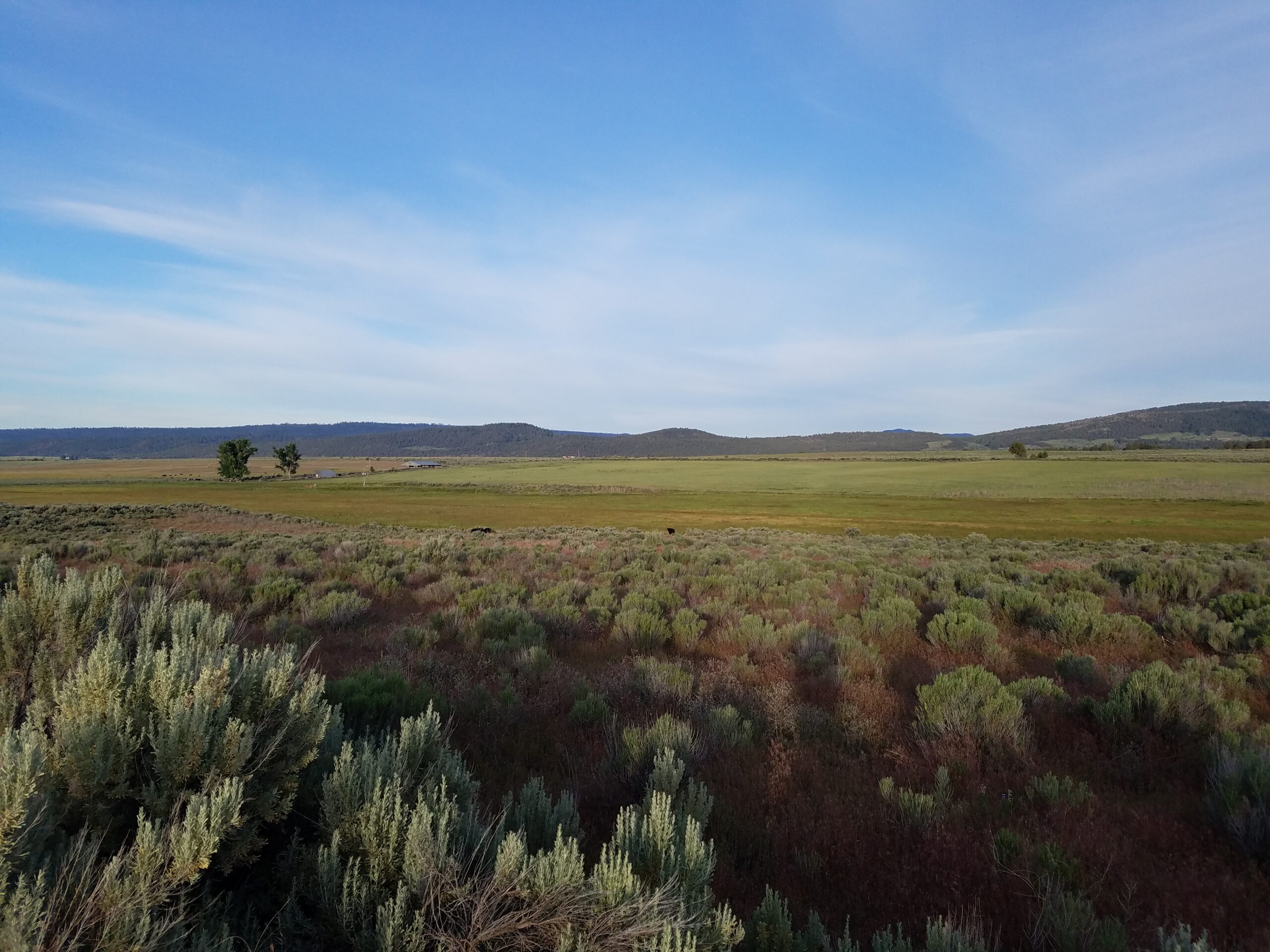 Flowing Wells Ranch - Cattle/Recreation - 868+/- Acres (Lakeview, OR)