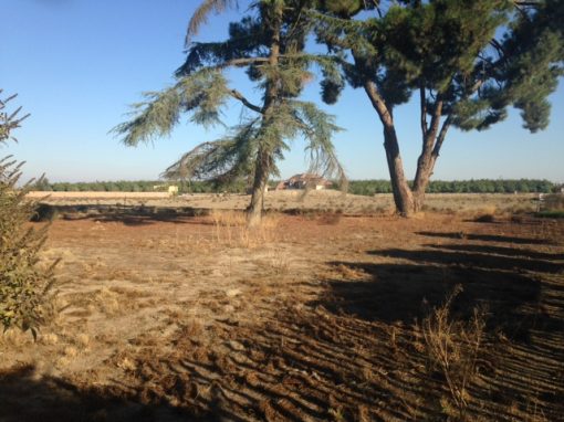 SOLD - NO. HANFORD HOME SITE 10 (+/-) ACRES - Image 3