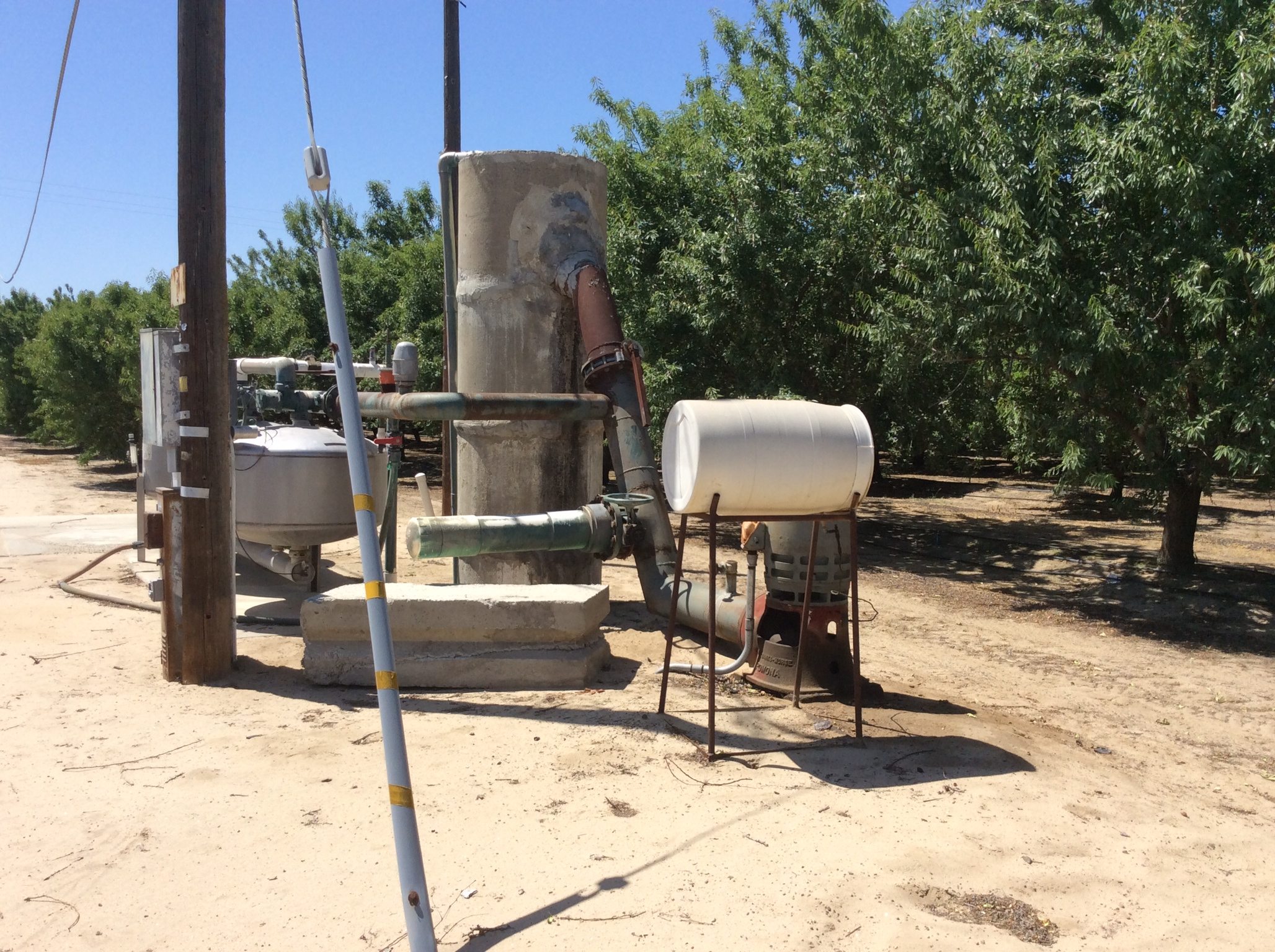SOLD - 49 (+/-) Premium Almond Orchard - Fresno County - Image 2