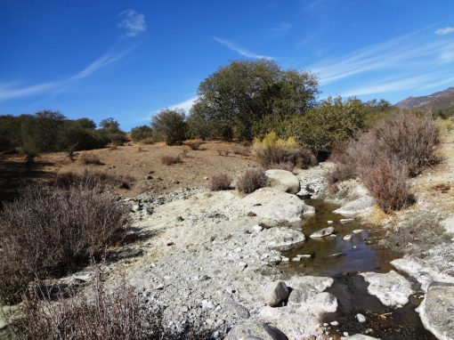 SOLD - LOS GATOS CREEK RANCH - Recreation/Cattle - Image 12