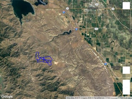 2510 acres - Ranching/Grazing/Recreation  **SOLD**