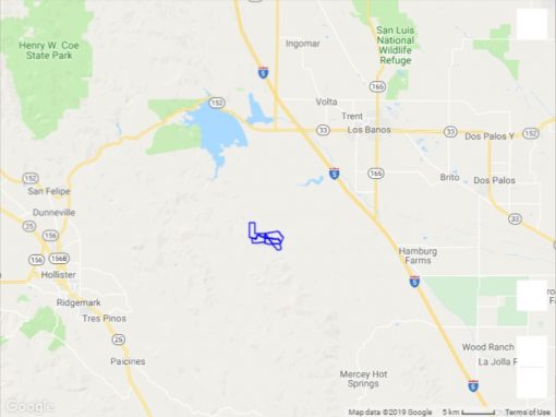 2510 acres - Ranching/Grazing/Recreation  **SOLD** - Image 3