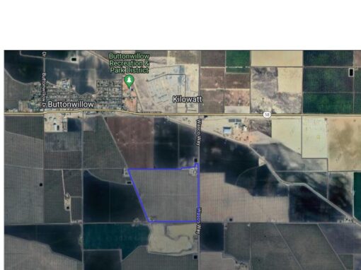 PISTACHIOS - 170 acres - Buttonwillow, CA - Image 9