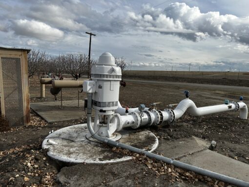 PISTACHIOS - 170 acres - Buttonwillow, CA - Image 6