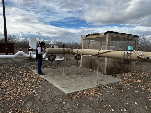 PISTACHIOS - 170 acres - Buttonwillow, CA - Image 7