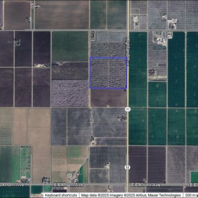 OPEN FARM LAND - 31.54+/- Acres