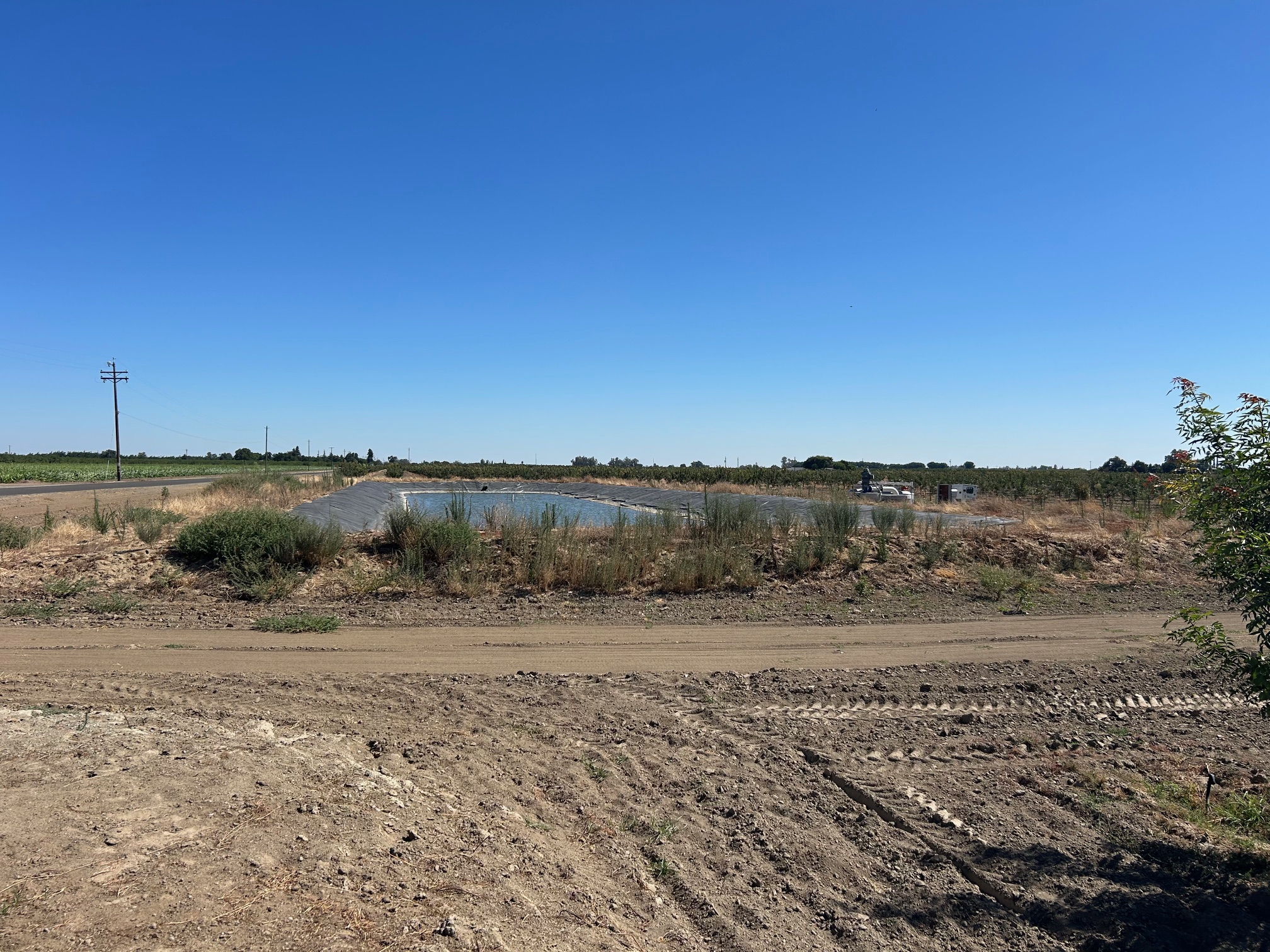 320 +/- Acres Farm Ground/Pistachios - Image 4